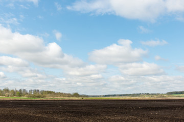 Fototapeta na wymiar countryside fields in early spring