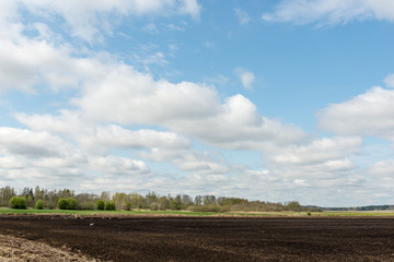 Fototapeta na wymiar countryside fields in early spring