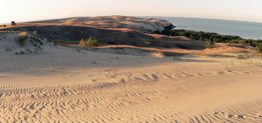Panorama of The Curonian Spit Dunes