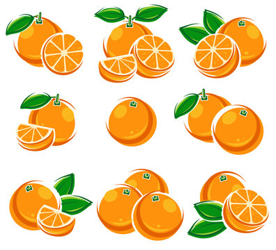 Oranges set. Vector