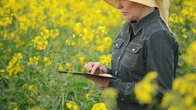 Female Farmer with Digital Tablet in Oilseed Rapeseed Field