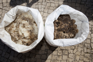 Sacks full of wool