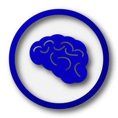 Brain icon