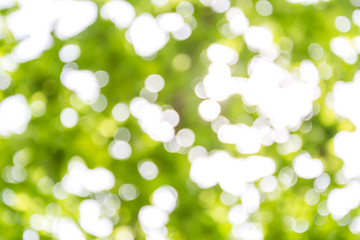 Fototapeta premium Hintergrund Frühling