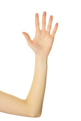 Obraz premium hand