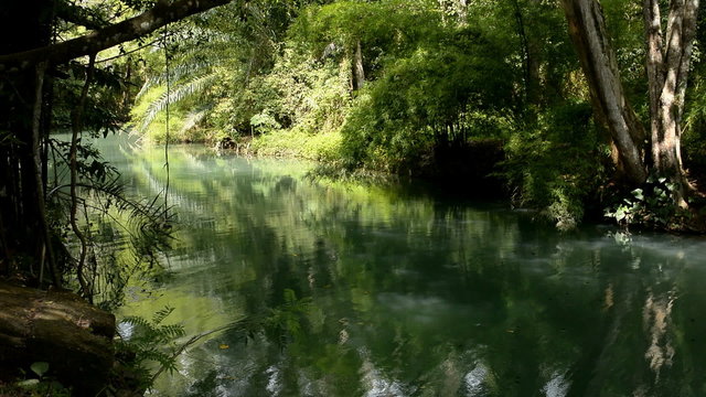 Beautiful river in a deep forest