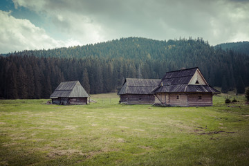Fototapeta premium Wooden hut in Chocholowska valley, Tatra Mountains, Poland