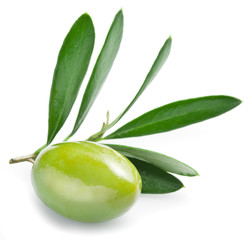 Olive with leaves on a white background.