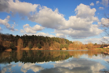 See bei Sonnenschein mit Bäumen und Büschen
