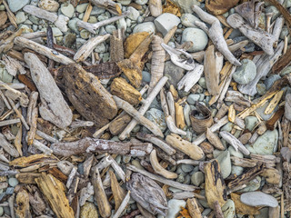 Treibholz Ansammlung