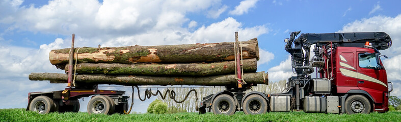 Holzwirtschaft, Langholz-Transporter von der Seite 