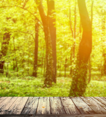 Beautiful forest and wooden floor background