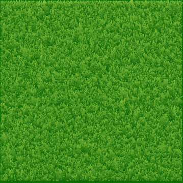 Grass background made in vector.