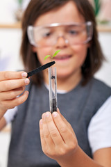 Young boy studying plant evolution in science class