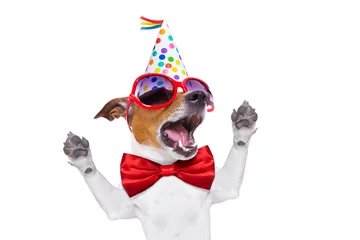 Wall murals Crazy dog happy birthday dog singing