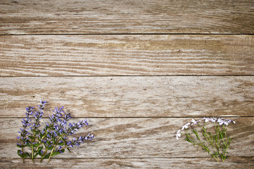 flowers on old wooden background