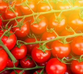 Cherry tomatoes close-up