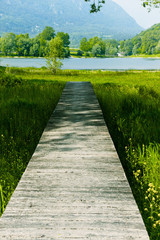 pontile nel verde