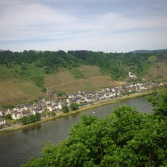 mosel