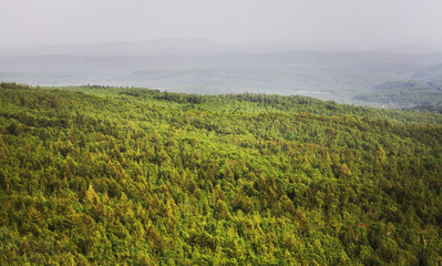 Fototapeta na wymiar Mountain near Vestochka. Russia