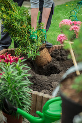 ein junger Mann arbeitet im Garten
