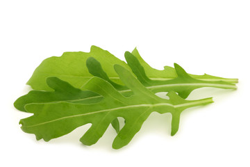 fresh rucola leaves (Eruca sativa)  on a white background