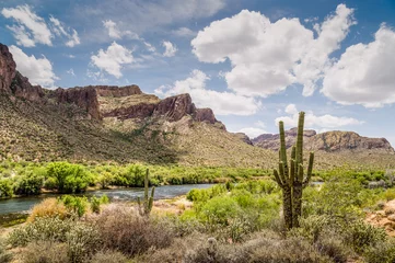  Arizona Desert Landscape © jon manjeot