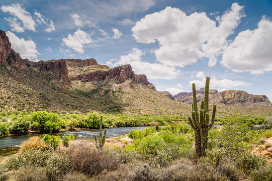 Arizona Desert Landscape