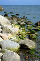 coast with mossy rocks