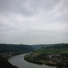 Fototapeta premium mosel