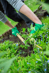 Naklejka premium Ein junger Mann arbeitet im Garten
