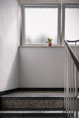 Grünpflanze in einem Treppenhaus