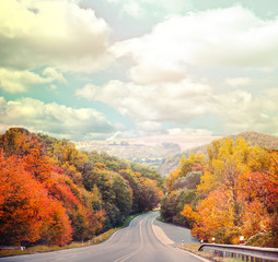 Route vide dans la forêt d& 39 automne contre le ciel bleu
