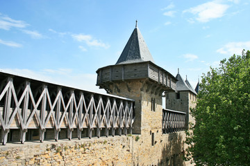la Cit&eacute; de Carcassonne