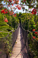 Obrazy na Szkle  Ścieżka w dżungli - Wyspy Kanaryjskie Teneryfa