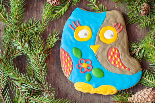 Christmas homemade gingerbread cookie in the form of an owl 