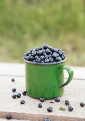 Ripe wild blueberries in the old green mug on the wooden table