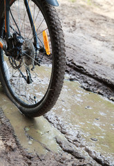 Detail view to the dirty wheel of bicycle in the forest 