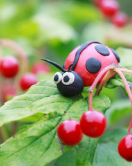 Plasticine world - little homemade red ladybird 