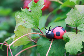 Plasticine world - little homemade red ladybird 