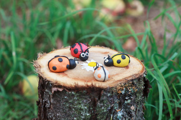 Plasticine world - four little homemade colorful ladybirds 