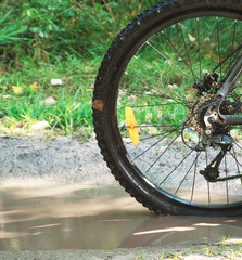 Detail view to the dirty wheel of bicycle in the forest