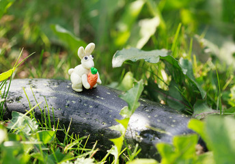 Plasticine world - little homemade white rabbit with carrot 