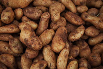 sweet potatoes on market stand 