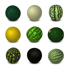 Different Varieties of Watermelons