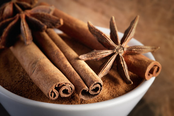 Obraz na płótnie Canvas Cinnamon sticks and anise