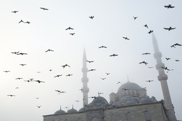 Yeni Cami Mosque on a foggy day with a flock of doves