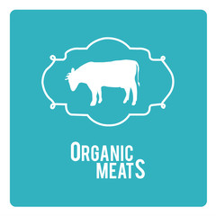 organic meat illustration over color background