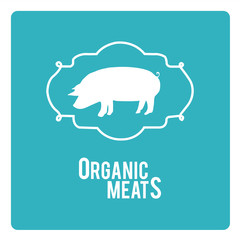 organic meat illustration over color background