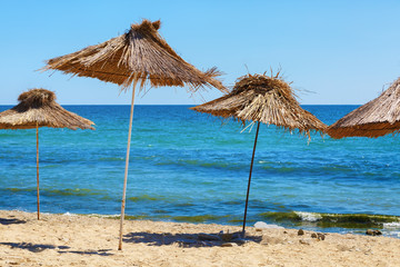 Beach umbrellas